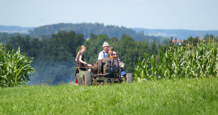 Bauernhof-Ederhof in Teisendorf - Impressionen