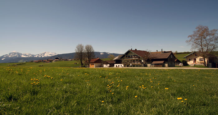 Bauernhof-Ederhof in Teisendorf - Impressionen